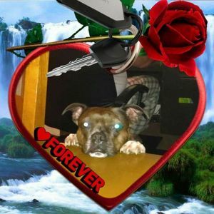 Meet your Posher, Barbara